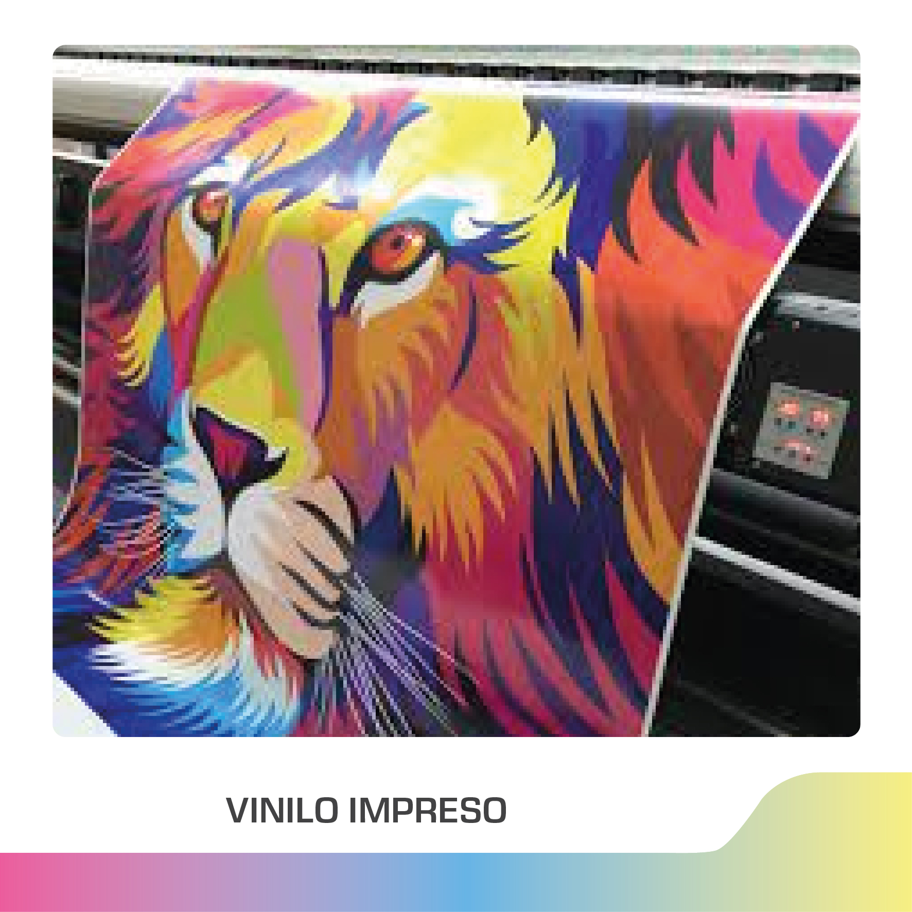 vinilo impreso